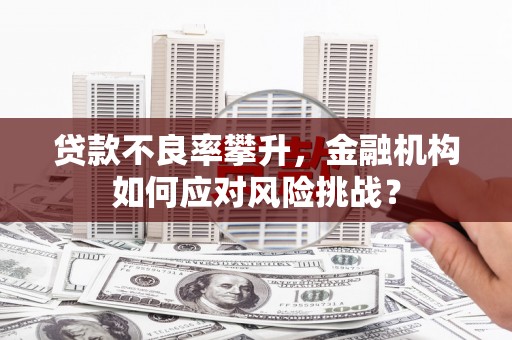 攀枝花贷款不良率攀升，金融机构如何应对风险挑战？