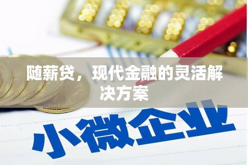 攀枝花随薪贷，现代金融的灵活解决方案