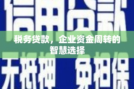 攀枝花税务贷款，企业资金周转的智慧选择
