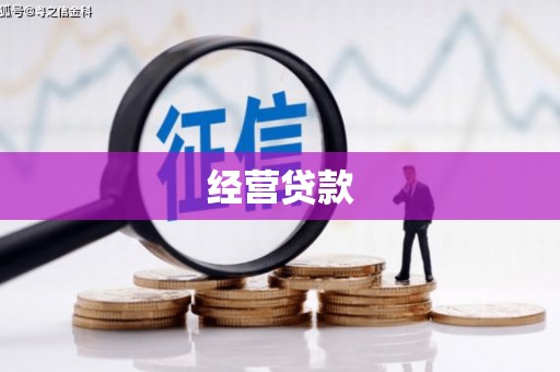 攀枝花经营贷款