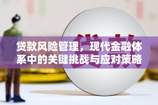 攀枝花贷款风险管理，现代金融体系中的关键挑战与应对策略