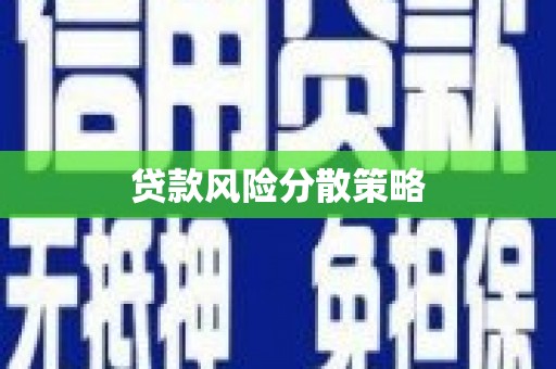 攀枝花贷款风险分散策略