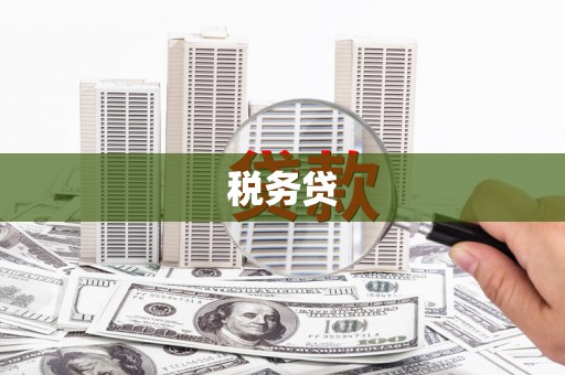 攀枝花税务贷