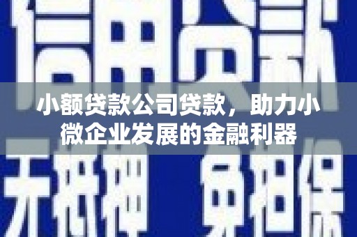 攀枝花小额贷款公司贷款，助力小微企业发展的金融利器
