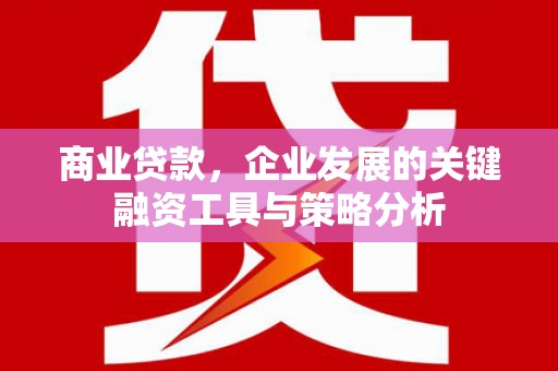 攀枝花商业贷款，企业发展的关键融资工具与策略分析