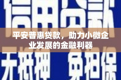攀枝花平安普惠贷款，助力小微企业发展的金融利器
