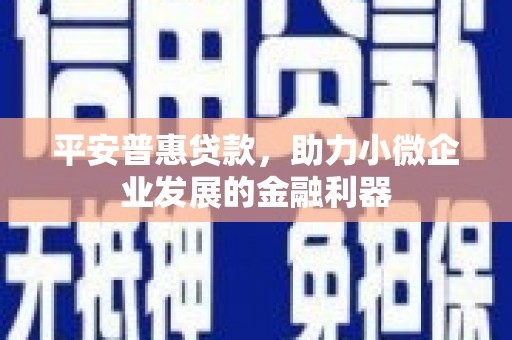 攀枝花平安普惠贷款，助力小微企业发展的金融利器