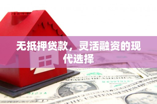 攀枝花无抵押贷款，灵活融资的现代选择