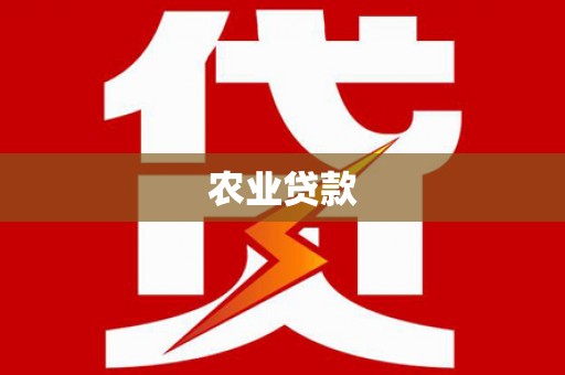 攀枝花农业贷款