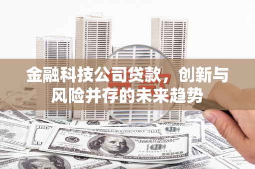 攀枝花金融科技公司贷款，创新与风险并存的未来趋势