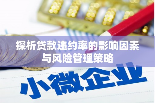 攀枝花探析贷款违约率的影响因素与风险管理策略