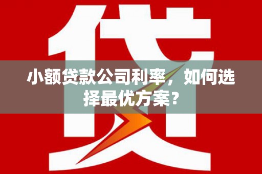 攀枝花小额贷款公司利率，如何选择最优方案？