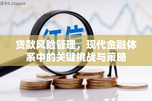 攀枝花贷款风险管理，现代金融体系中的关键挑战与策略