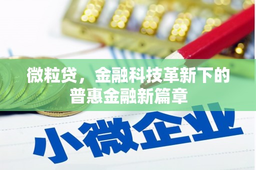 攀枝花微粒贷，金融科技革新下的普惠金融新篇章