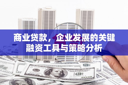 攀枝花商业贷款，企业发展的关键融资工具与策略分析