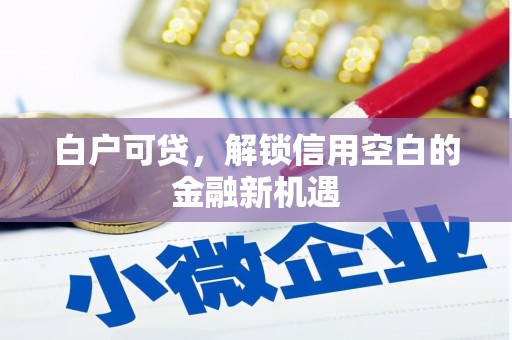 攀枝花白户可贷，解锁信用空白的金融新机遇