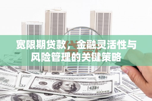 攀枝花宽限期贷款，金融灵活性与风险管理的关键策略