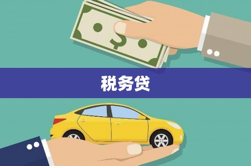攀枝花税务贷