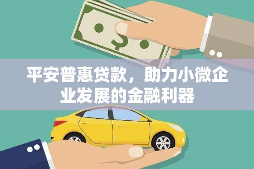 攀枝花平安普惠贷款，助力小微企业发展的金融利器
