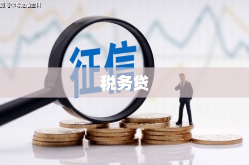 攀枝花税务贷