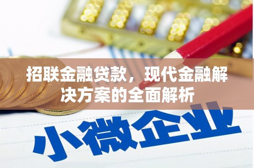 攀枝花招联金融贷款，现代金融解决方案的全面解析