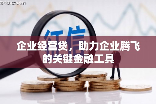 攀枝花企业经营贷，助力企业腾飞的关键金融工具