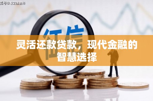 攀枝花灵活还款贷款，现代金融的智慧选择