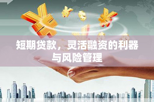 攀枝花短期贷款，灵活融资的利器与风险管理