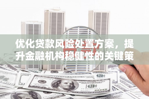 攀枝花优化贷款风险处置方案，提升金融机构稳健性的关键策略