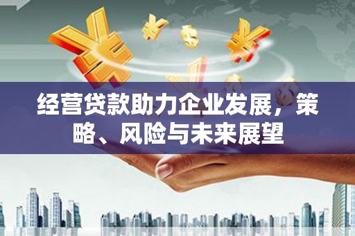 攀枝花经营贷款助力企业发展，策略、风险与未来展望
