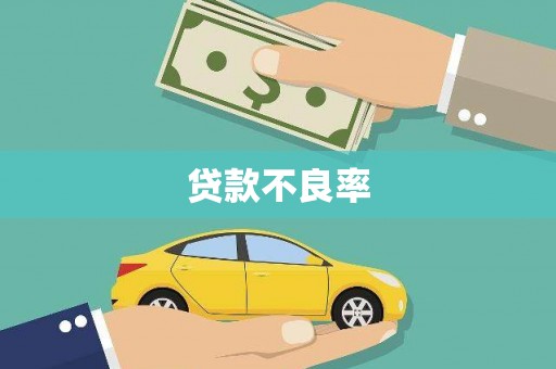 攀枝花贷款不良率