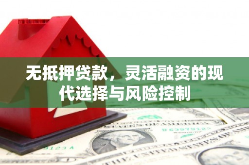 攀枝花无抵押贷款，灵活融资的现代选择与风险控制