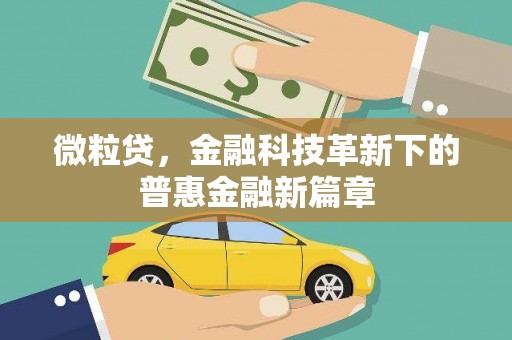 攀枝花微粒贷，金融科技革新下的普惠金融新篇章