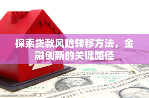 攀枝花探索贷款风险转移方法，金融创新的关键路径