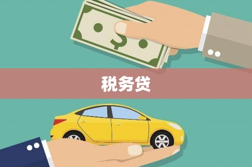 攀枝花税务贷