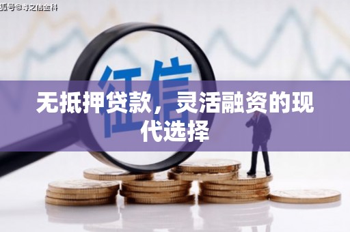 攀枝花无抵押贷款，灵活融资的现代选择