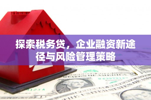 攀枝花探索税务贷，企业融资新途径与风险管理策略