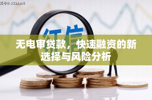 攀枝花无电审贷款，快速融资的新选择与风险分析