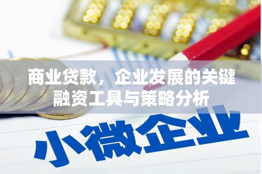 攀枝花商业贷款，企业发展的关键融资工具与策略分析