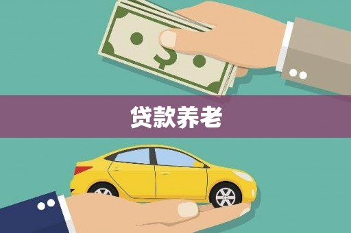 攀枝花贷款养老