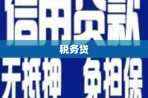 攀枝花税务贷