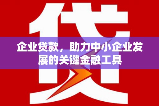 攀枝花企业贷款，助力中小企业发展的关键金融工具