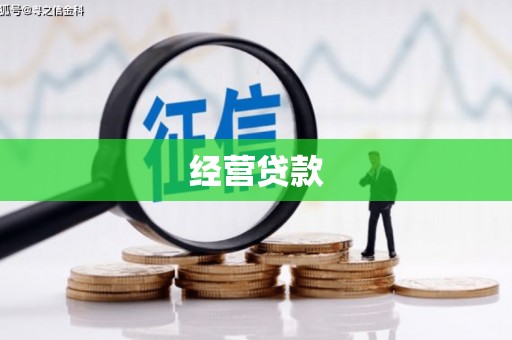 攀枝花经营贷款