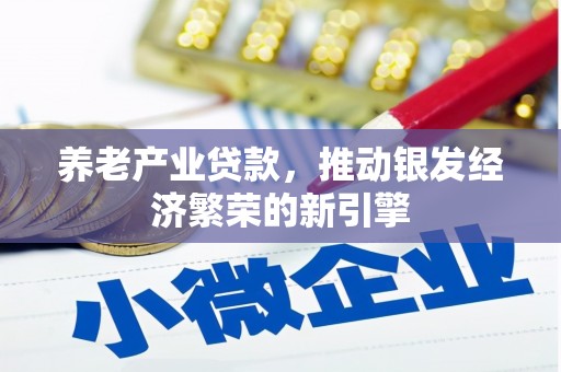 攀枝花养老产业贷款，推动银发经济繁荣的新引擎