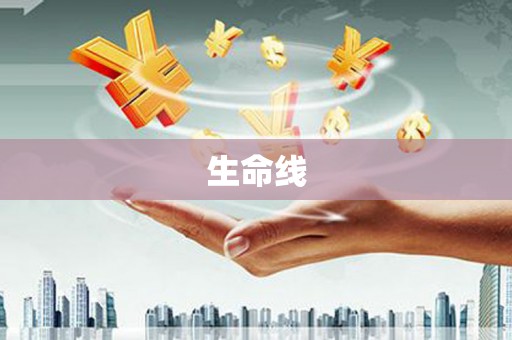 攀枝花生命线