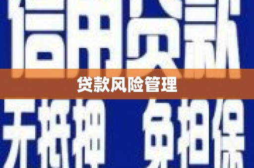 攀枝花贷款风险管理