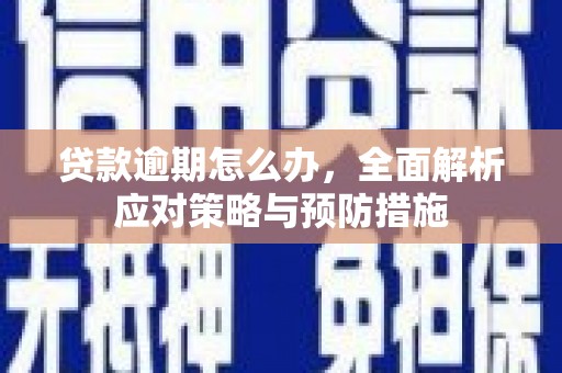 攀枝花贷款逾期怎么办，全面解析应对策略与预防措施