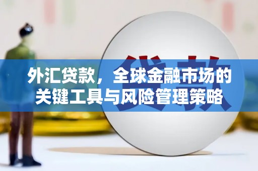 攀枝花外汇贷款，全球金融市场的关键工具与风险管理策略