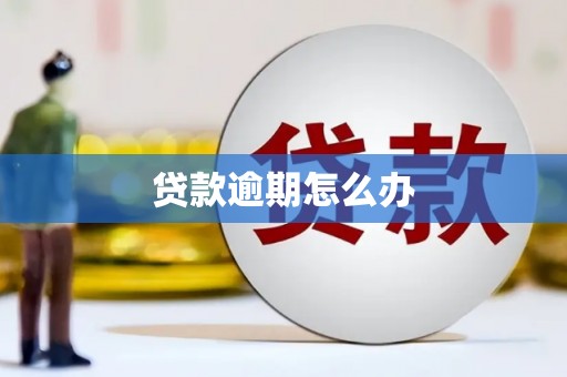 攀枝花贷款逾期怎么办