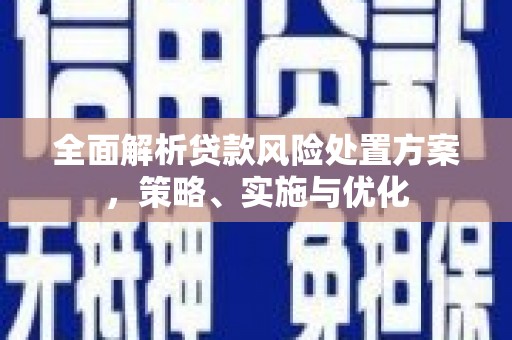 攀枝花全面解析贷款风险处置方案，策略、实施与优化
